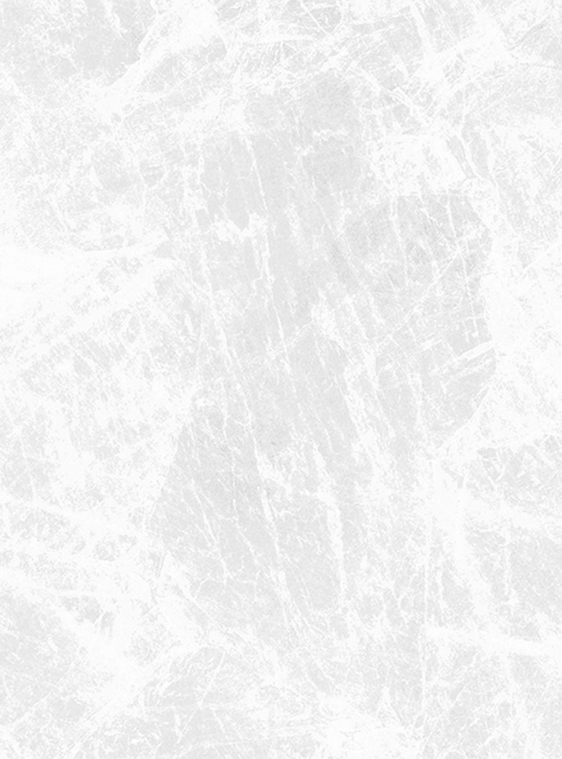 DEMETRIA LIGHT GREY Feinsteinzeug Fliesen